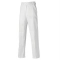 Dickies Painter's trousers (WD824) White